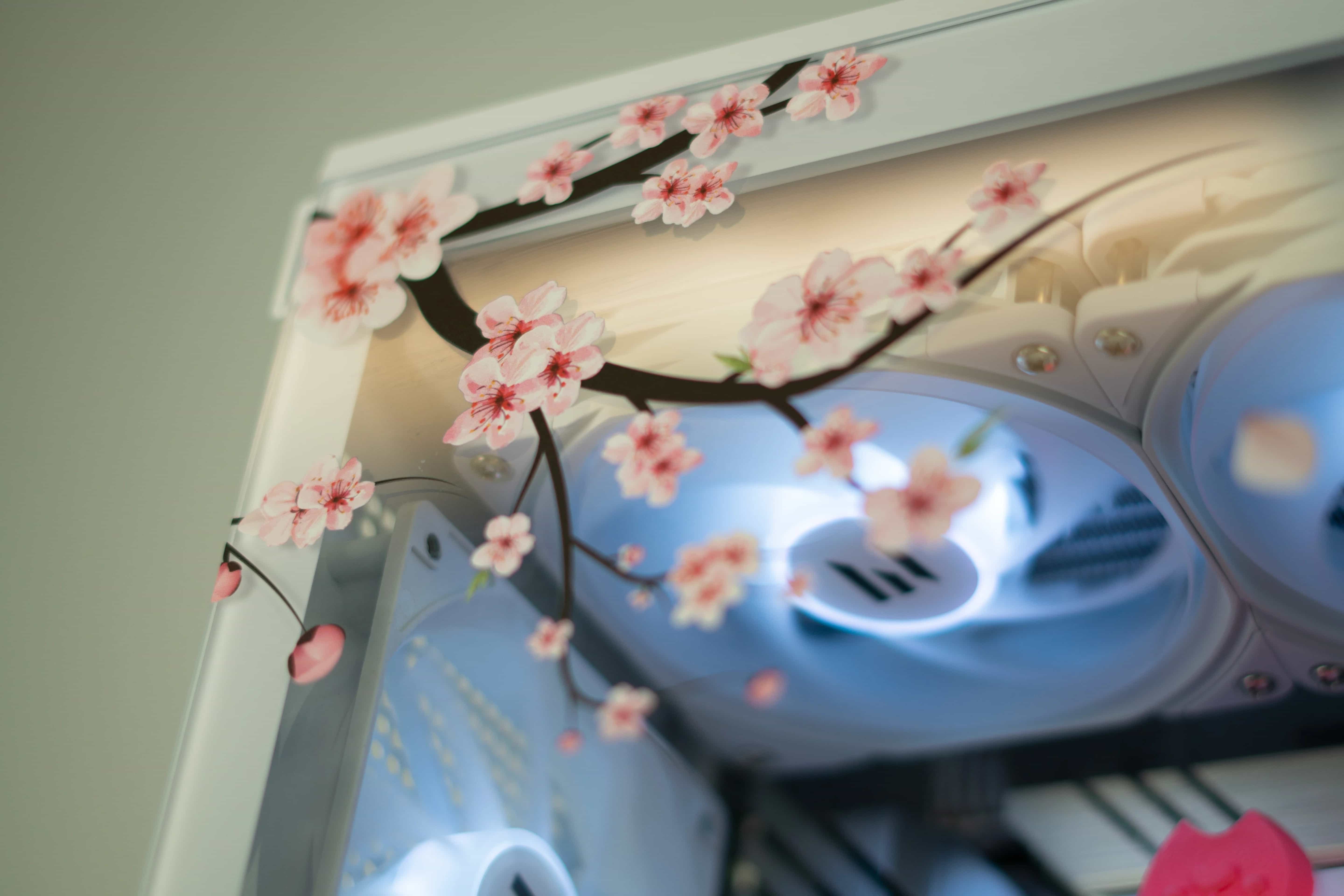 Free Panel Prints for Labour Weekend!