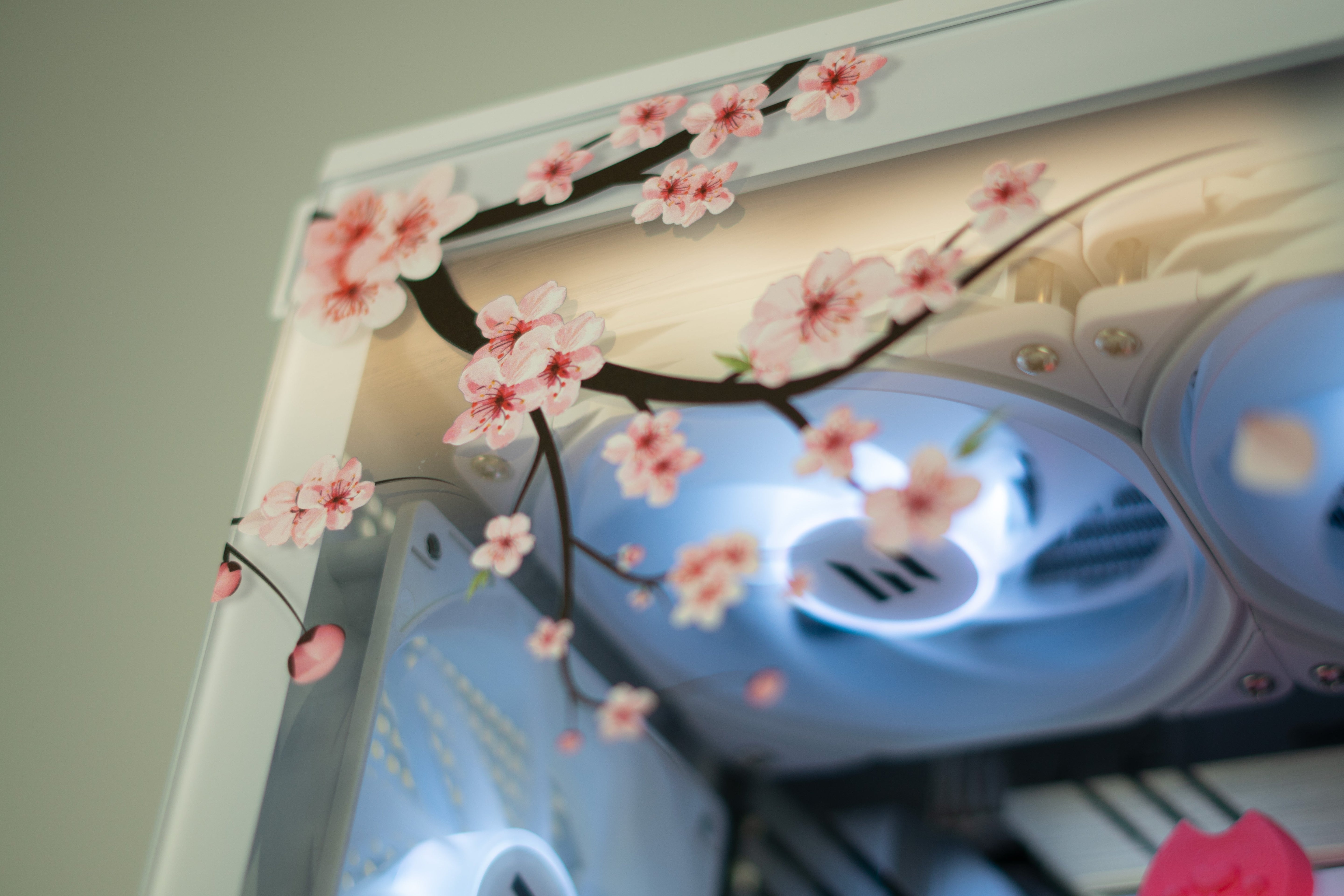 Free Panel Prints for Labour Weekend!