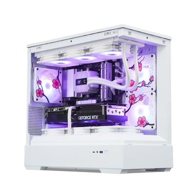 Sakura Special Edition