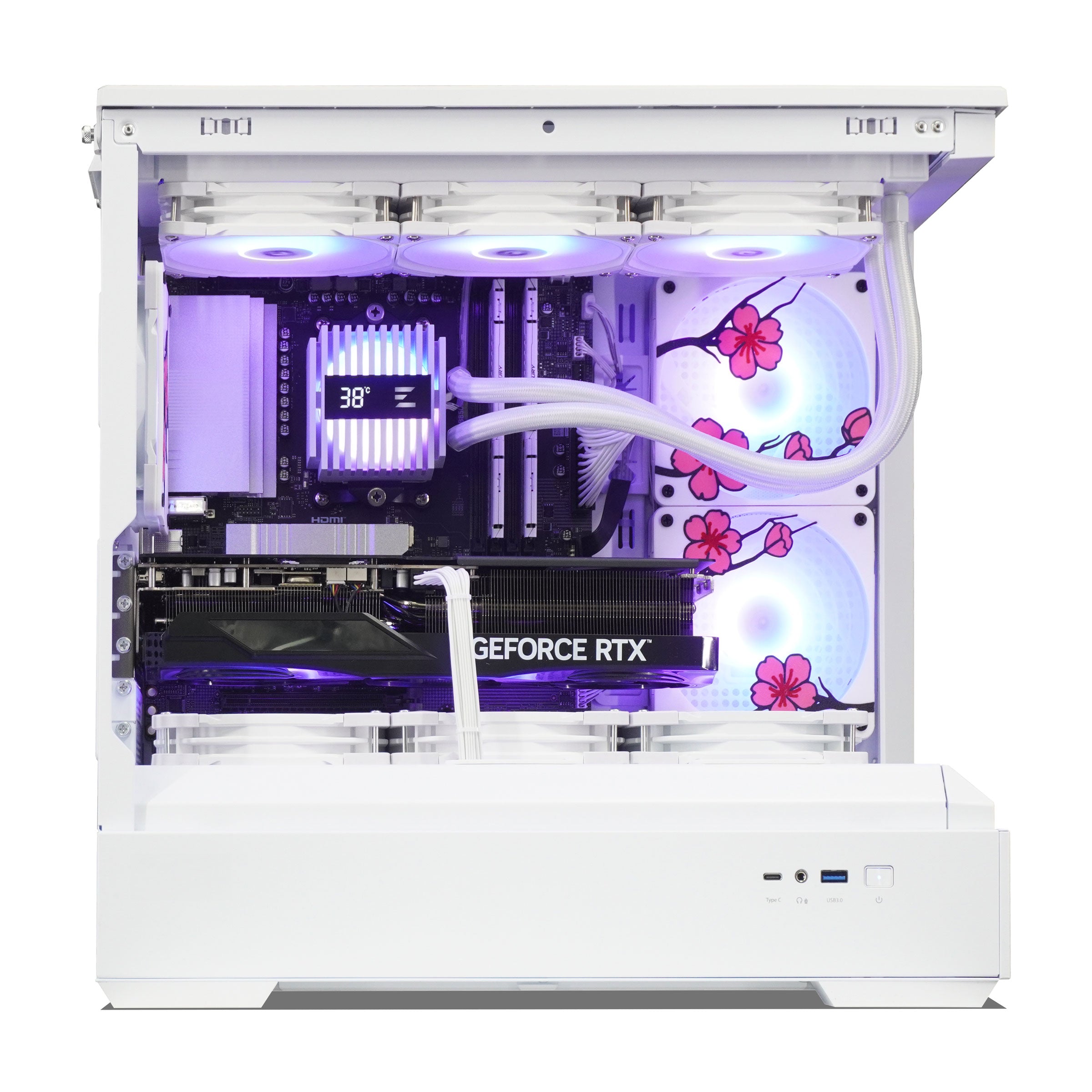 Sakura Special Edition