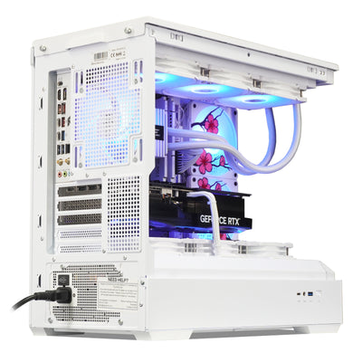 Sakura Special Edition